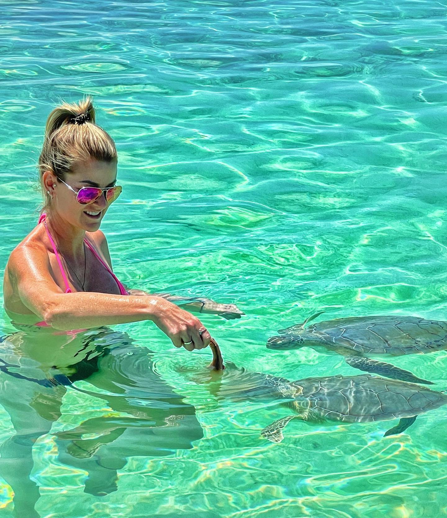 swim with sea turltes