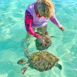 50463094_935263313345227_4484376771092807680_n